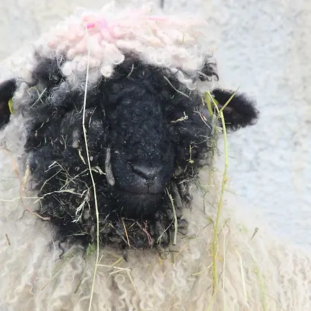 Pansiyon Obenauf In *