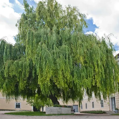 Obenauf In Séjour chez l'habitant Unternalb