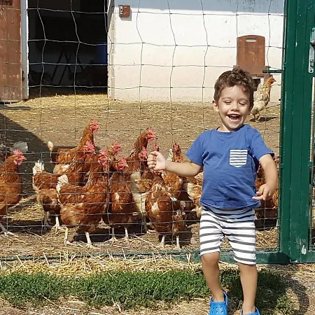 Obenauf In Pansiyon *