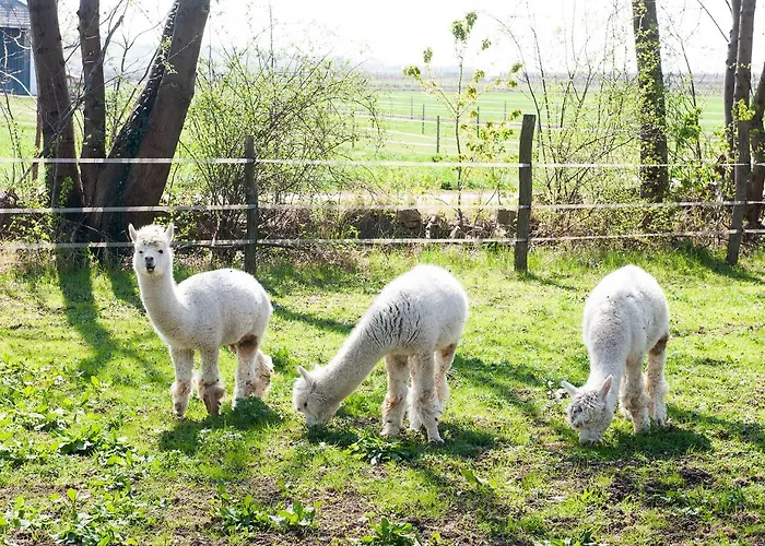 Obenauf In Unternalb