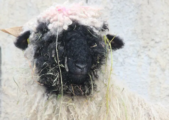 Kwatera prywatna Obenauf In *