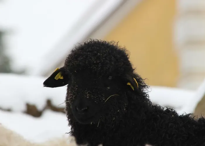 Obenauf In * Unternalb