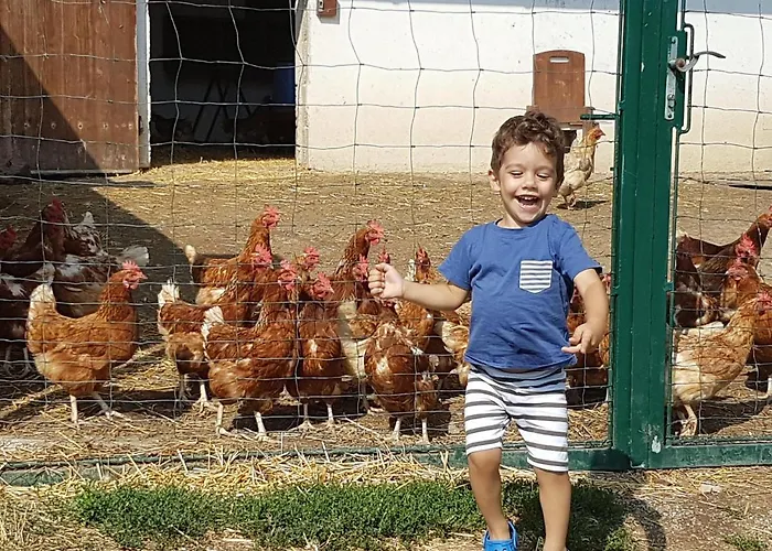 Obenauf In Homestay *